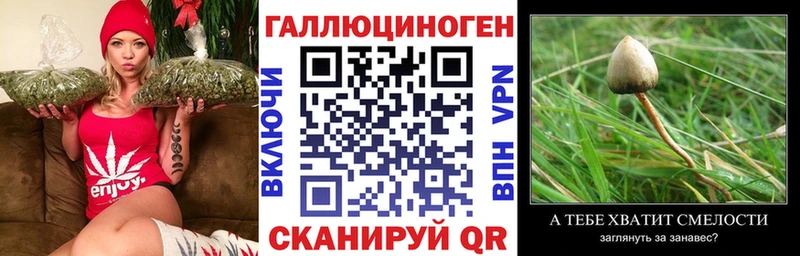 Купить где  Валуйки  Псилоцибиновые грибы GOLDEN TEACHER 